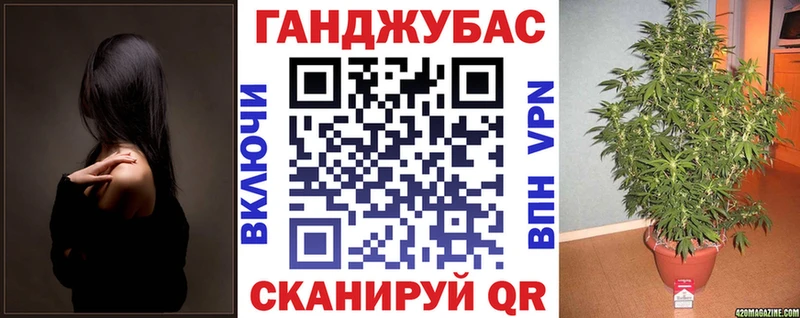 Каннабис сатива  купить   Онега 
